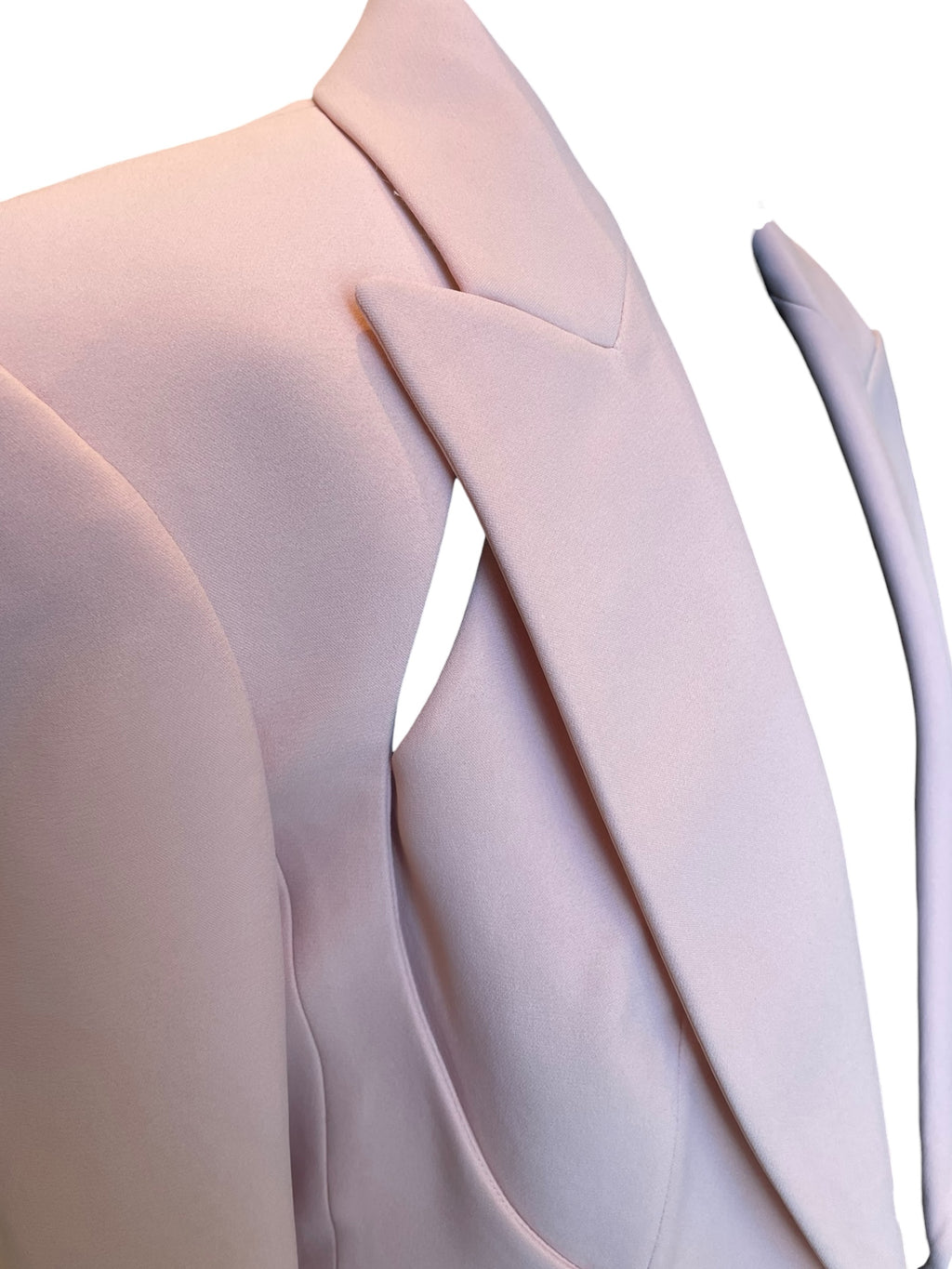 Alexander McQueen Pink Tailored Jacket